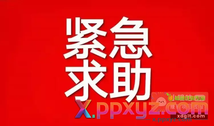 求一个诚信不跑录的代刷网 - PPXYZ资源网