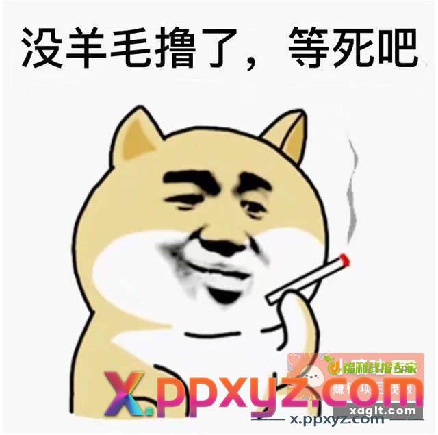 今天中秋节了 不要再讨论什么农行代码飞 - PPXYZ资源网