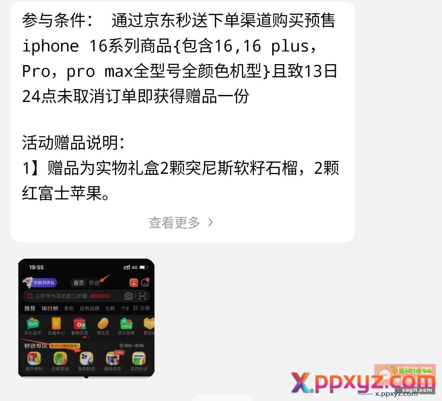 京东秒送 买了16系列的 - PPXYZ资源网