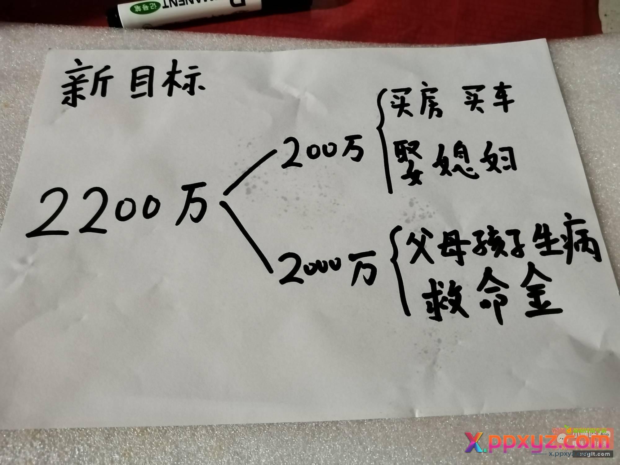 新目标—2000万！之前的200万目标只考虑了我自己 - PPXYZ资源网