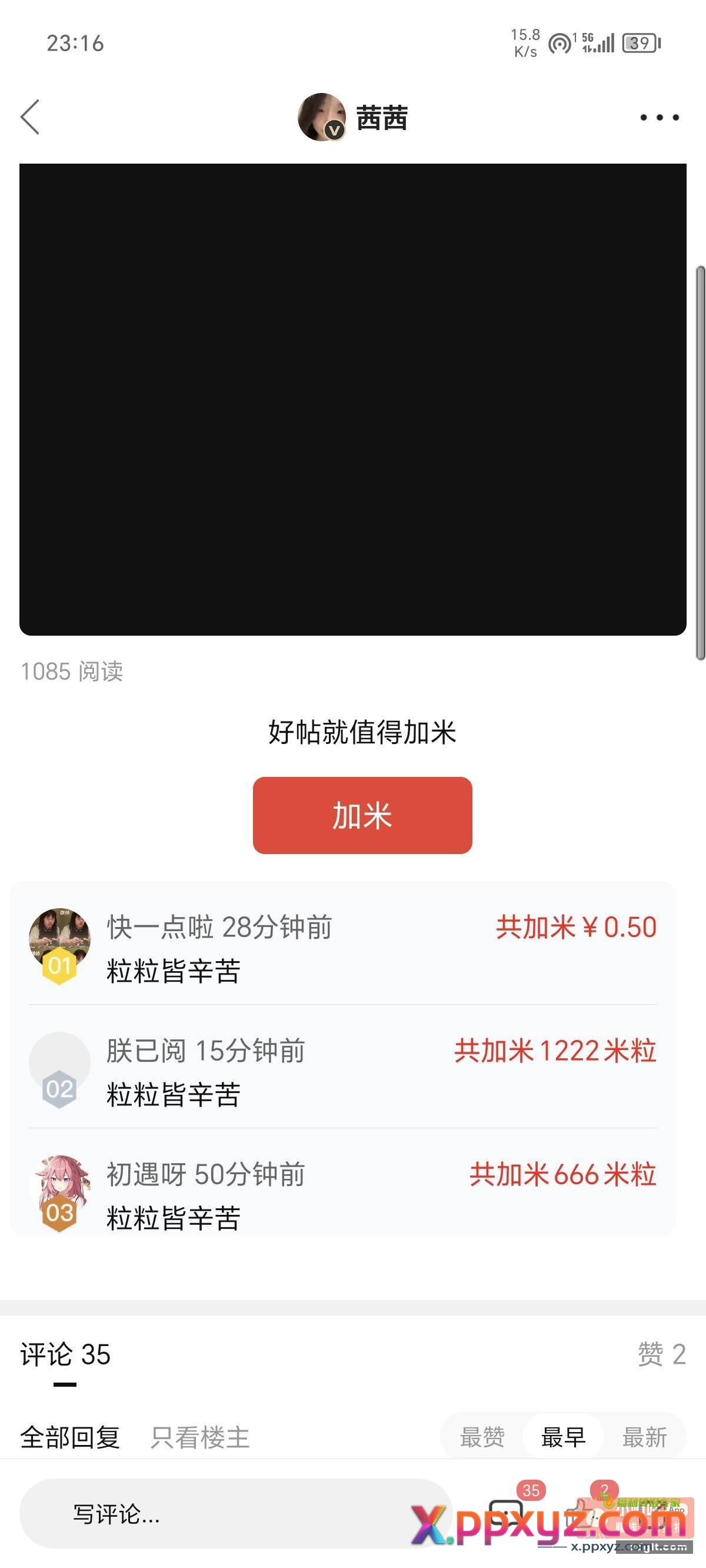 我是zpf你们信吗 - PPXYZ资源网