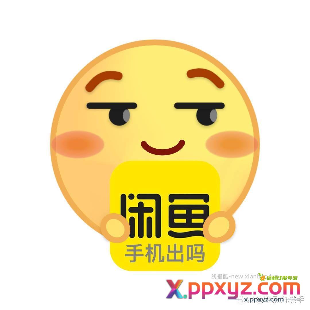 小毛五天黑胶两张速来 - PPXYZ资源网