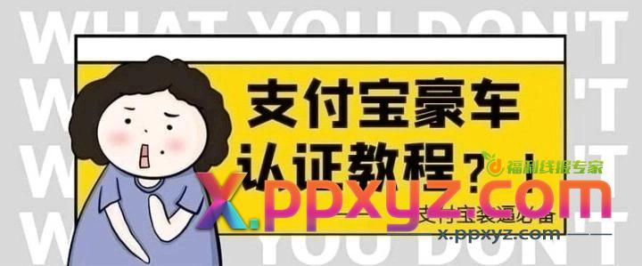 小众项目，支付认证豪车