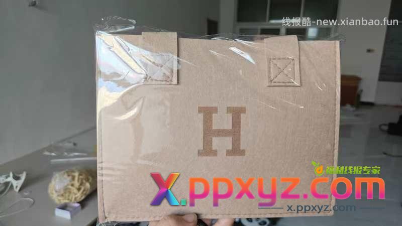 1688 一元毛毡包盲盒 可以上 - PPXYZ资源网