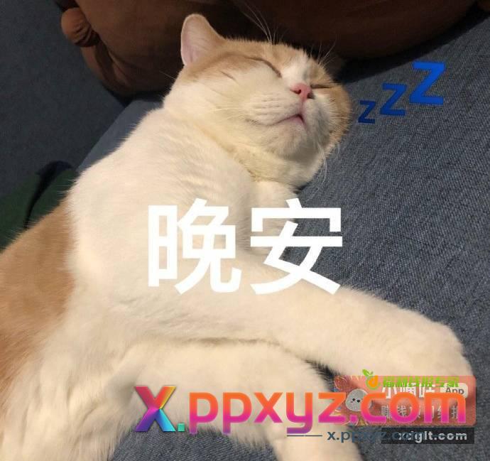 晚安倩宝 - PPXYZ资源网