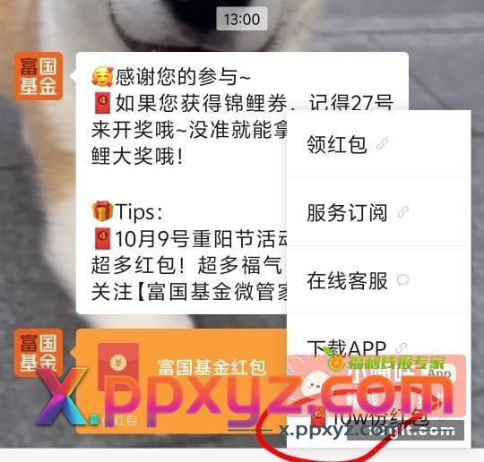 蚊子腿 - PPXYZ资源网