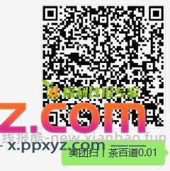 0.1！！茶百道 美团扫 自测 - PPXYZ资源网