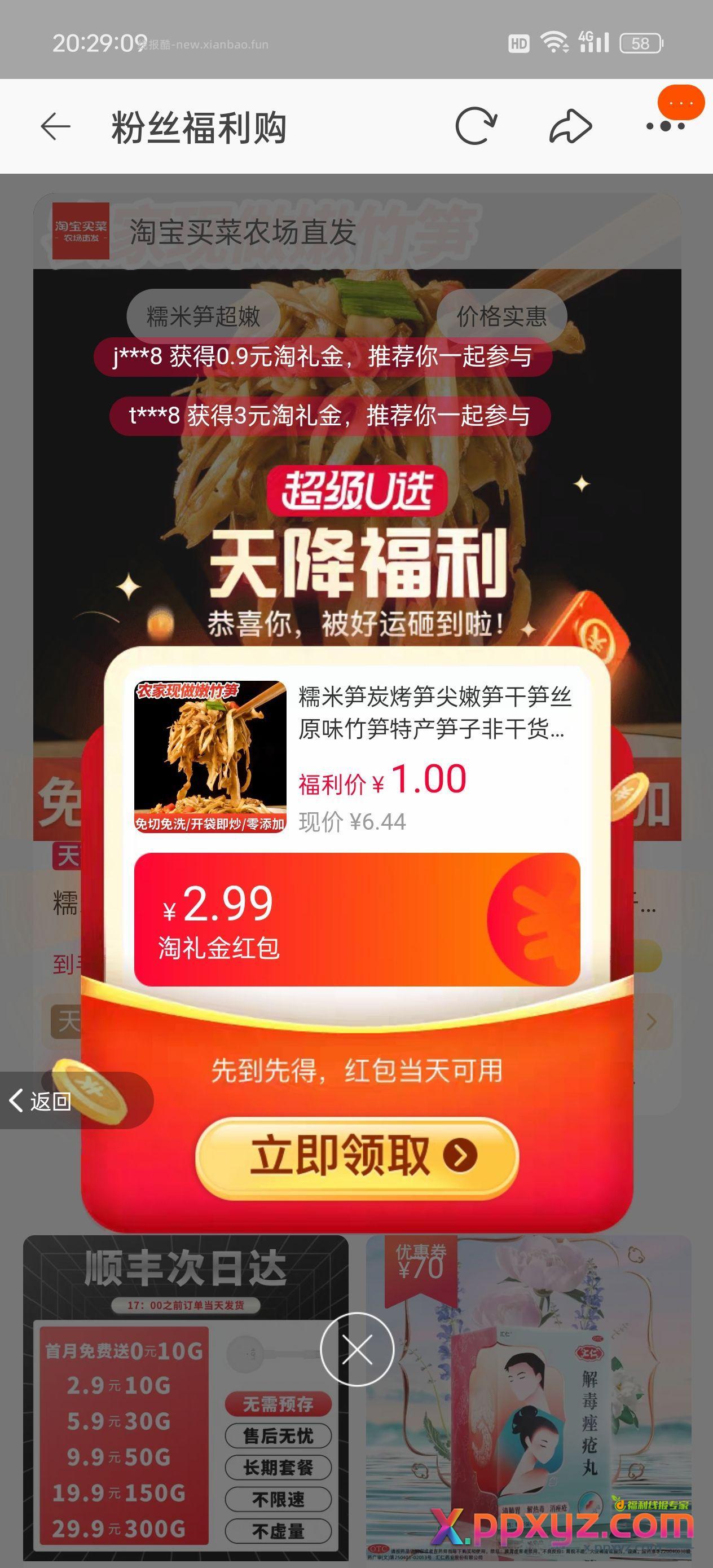 领礼金一元500g糯米笋 9【糯米笋炭烤笋尖嫩笋干笋丝原味竹笋特产笋子非干货新鲜过年货】 - PPXYZ资源网