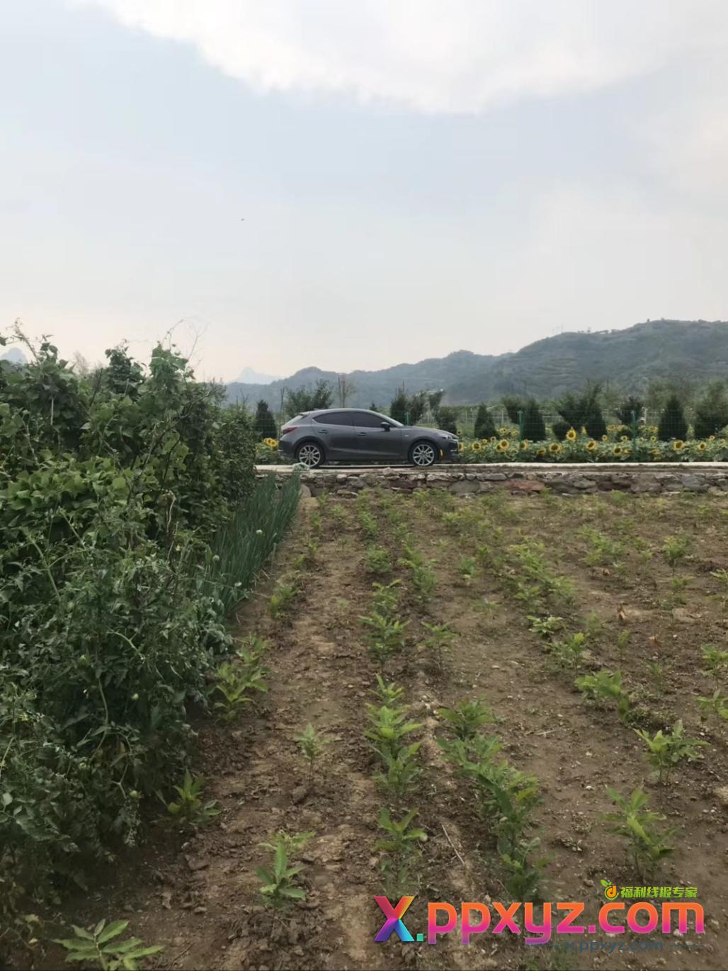 想把油车置换个熊猫卡丁 - PPXYZ线报
