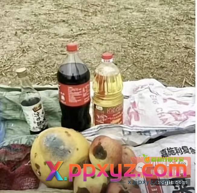 吃点喝点 - PPXYZ资源网