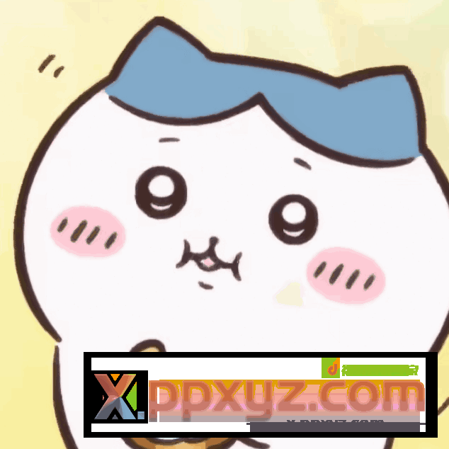 农行飞新疆代码301900 - PPXYZ资源网