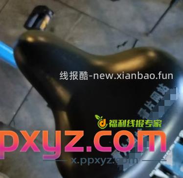 阿哲 - PPXYZ资源网