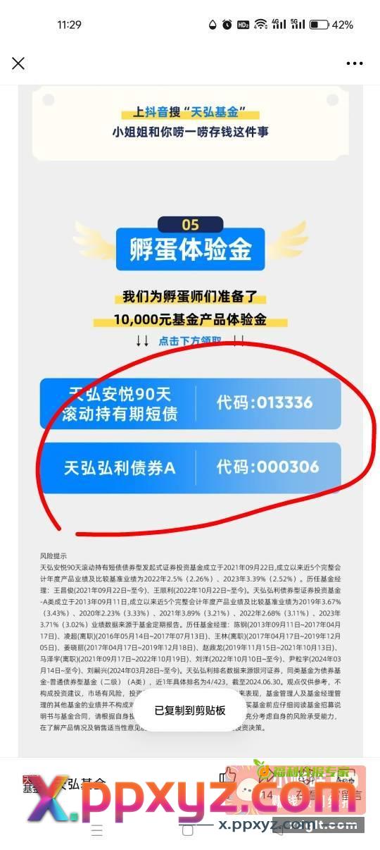 粗暴大毛 两个天弘体验金 - PPXYZ资源网