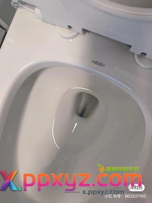 新买的恒洁马桶，为啥底下会冒出蓝色的东西啊 - PPXYZ线报