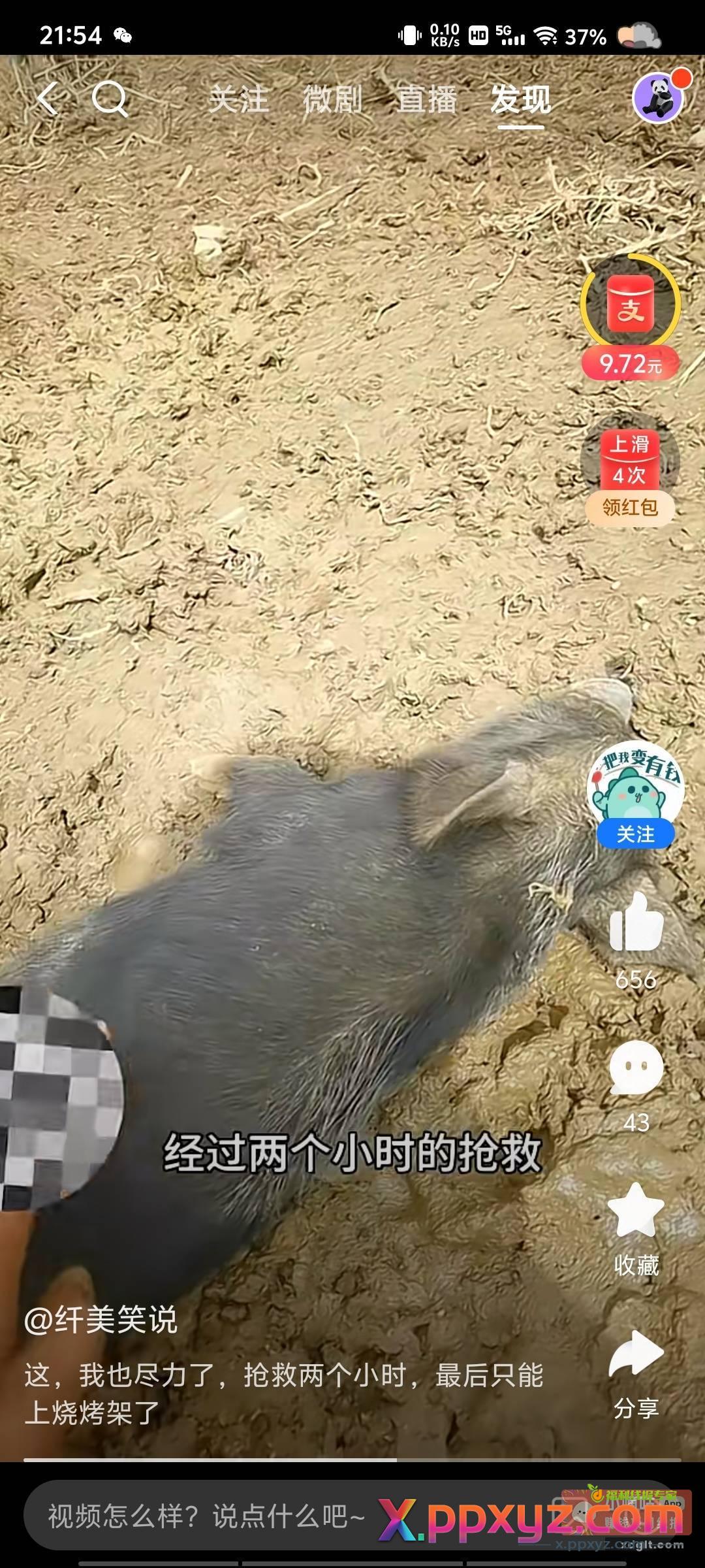 支付宝 视频 - PPXYZ资源网
