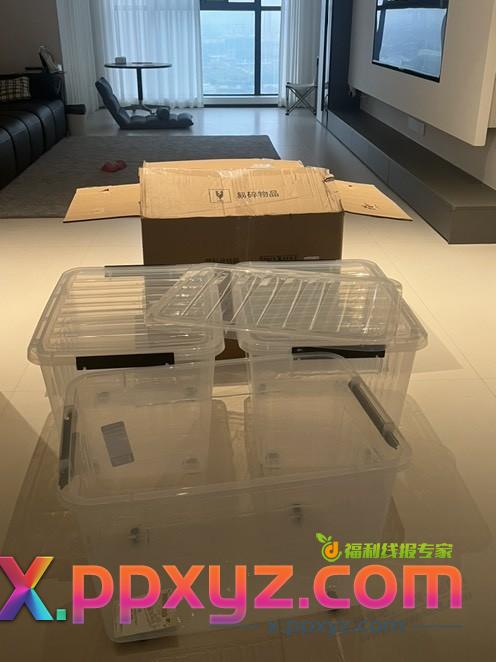 收纳箱到货了，尺寸还行 - PPXYZ线报