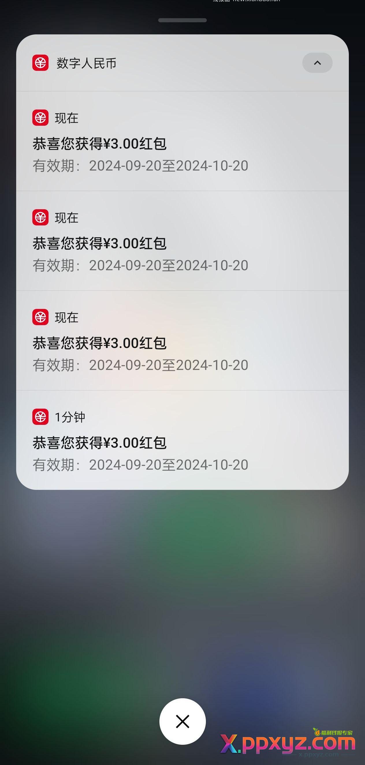 青岛 12建行通用数币 - PPXYZ资源网