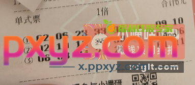保存好帖子 今天开奖 - PPXYZ资源网