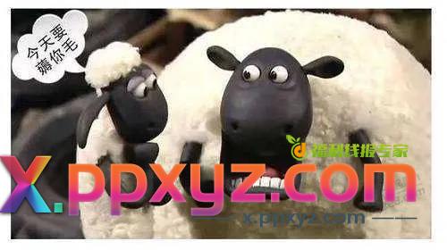 过了零点有啥毛 - PPXYZ线报