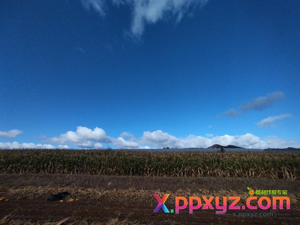 看着你们一顿撸毛我一顿收秋 - PPXYZ线报