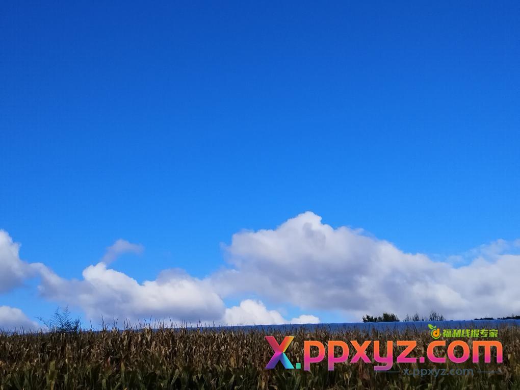 看着你们一顿撸毛我一顿收秋 - PPXYZ线报