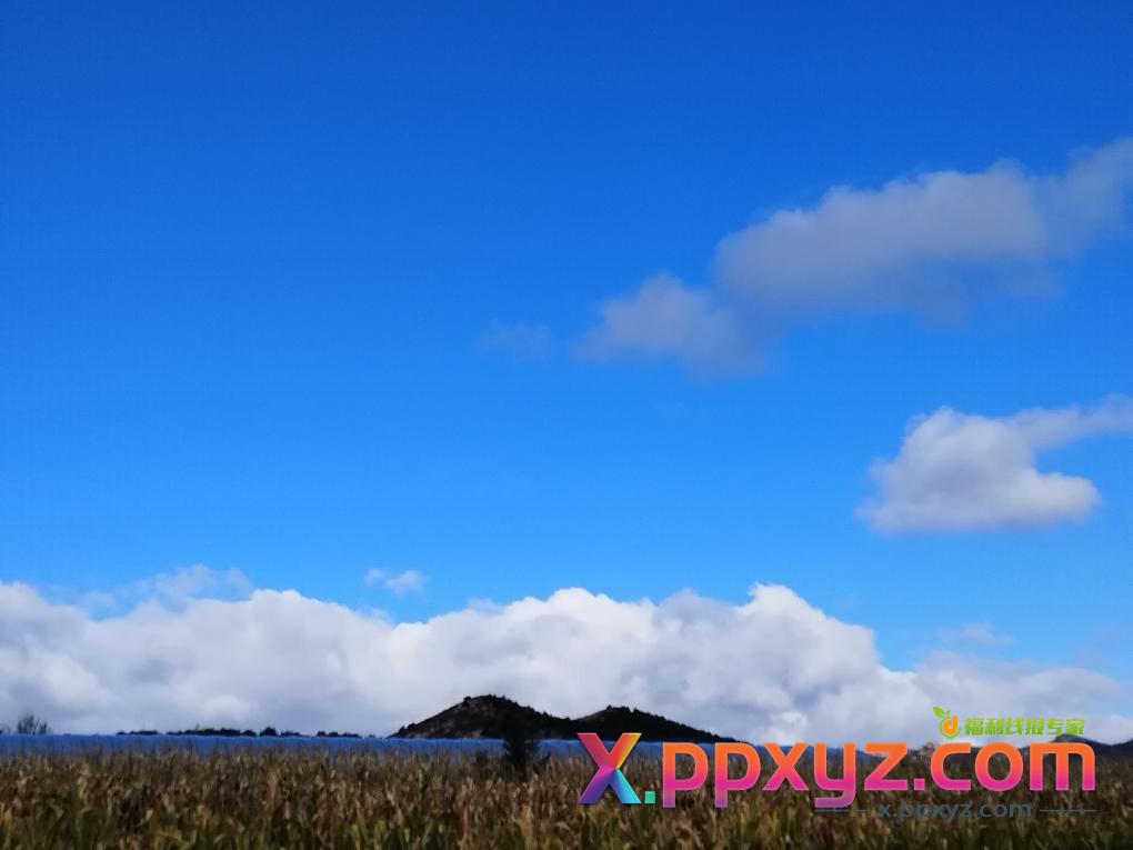 看着你们一顿撸毛我一顿收秋 - PPXYZ线报