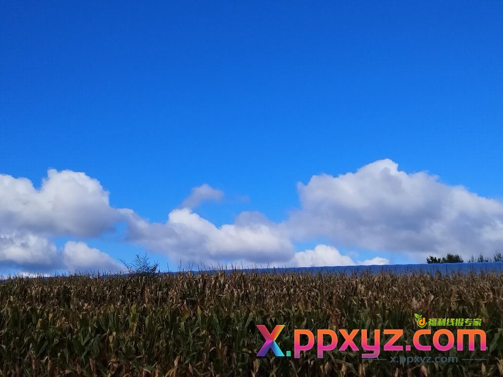 看着你们一顿撸毛我一顿收秋 - PPXYZ线报