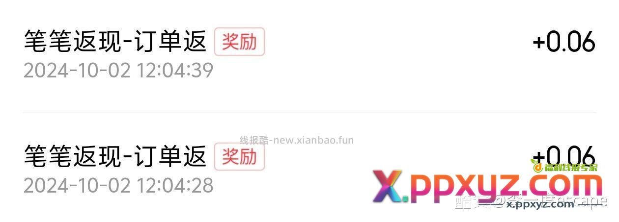 爽 关键有些0.01的订单还能返现6毛 - PPXYZ资源网