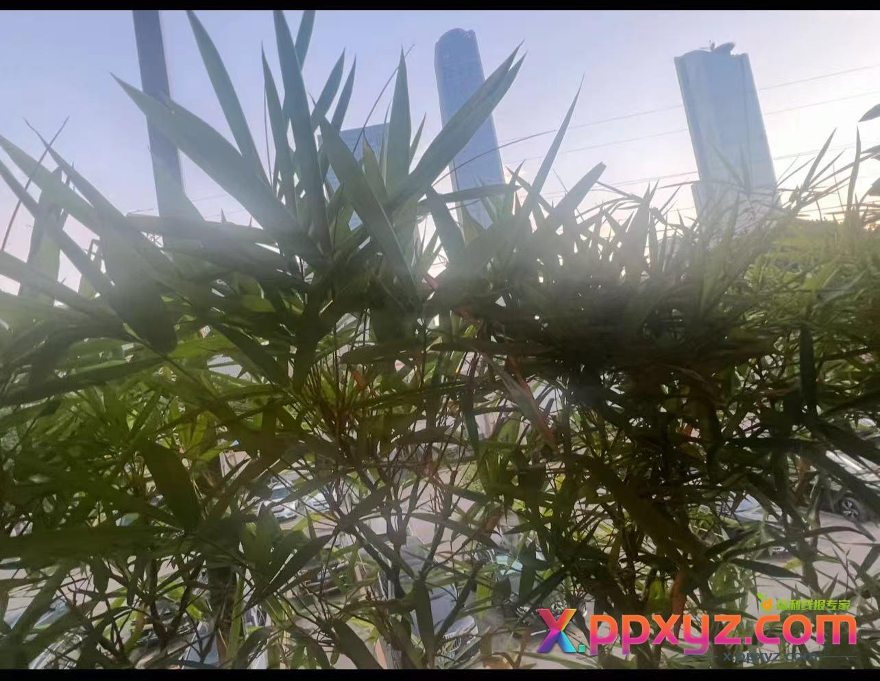 10人消费了4140元，不包括酒水，在广州 - PPXYZ线报