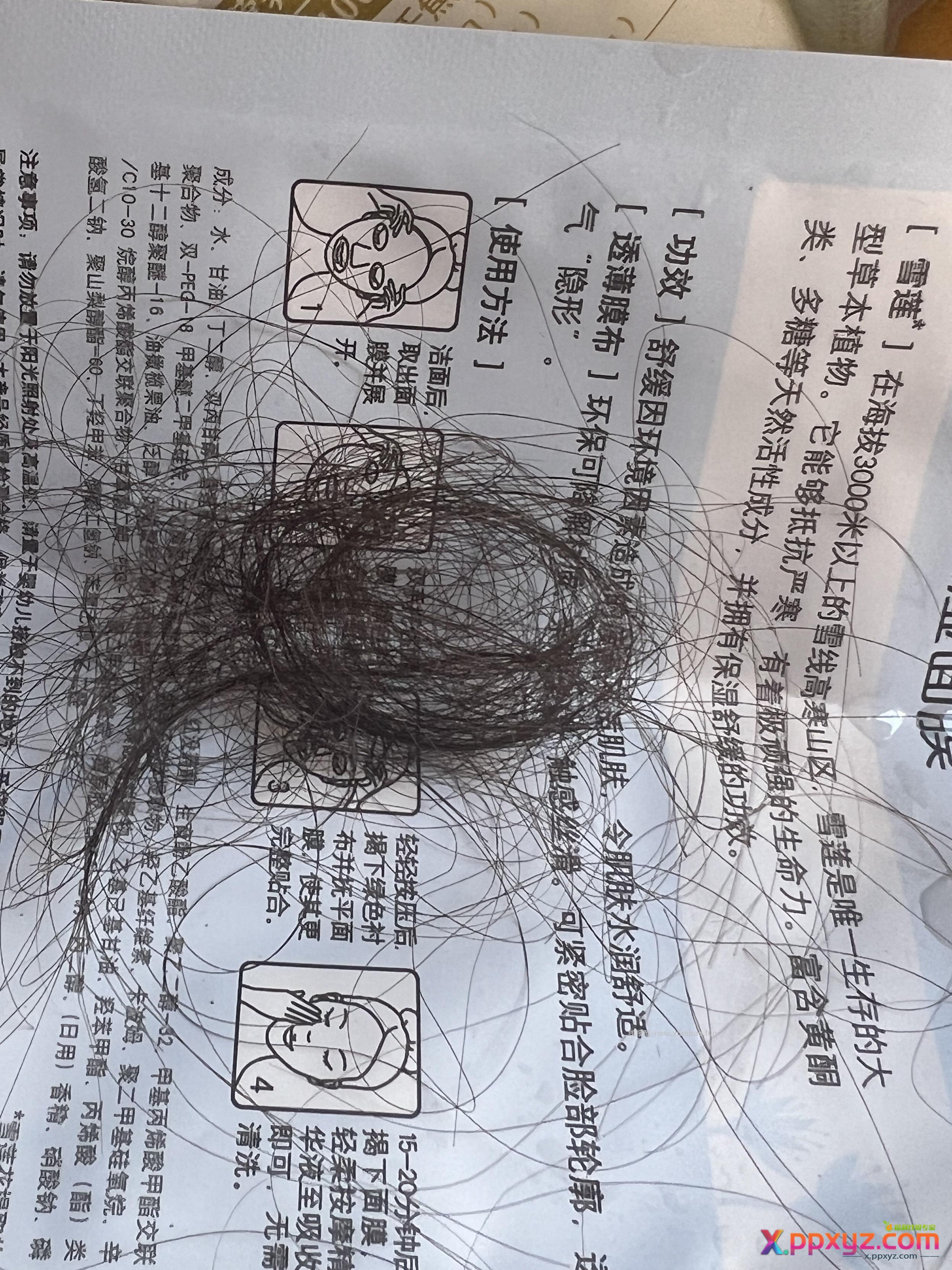 赫系洗发水掉头发 - PPXYZ资源网