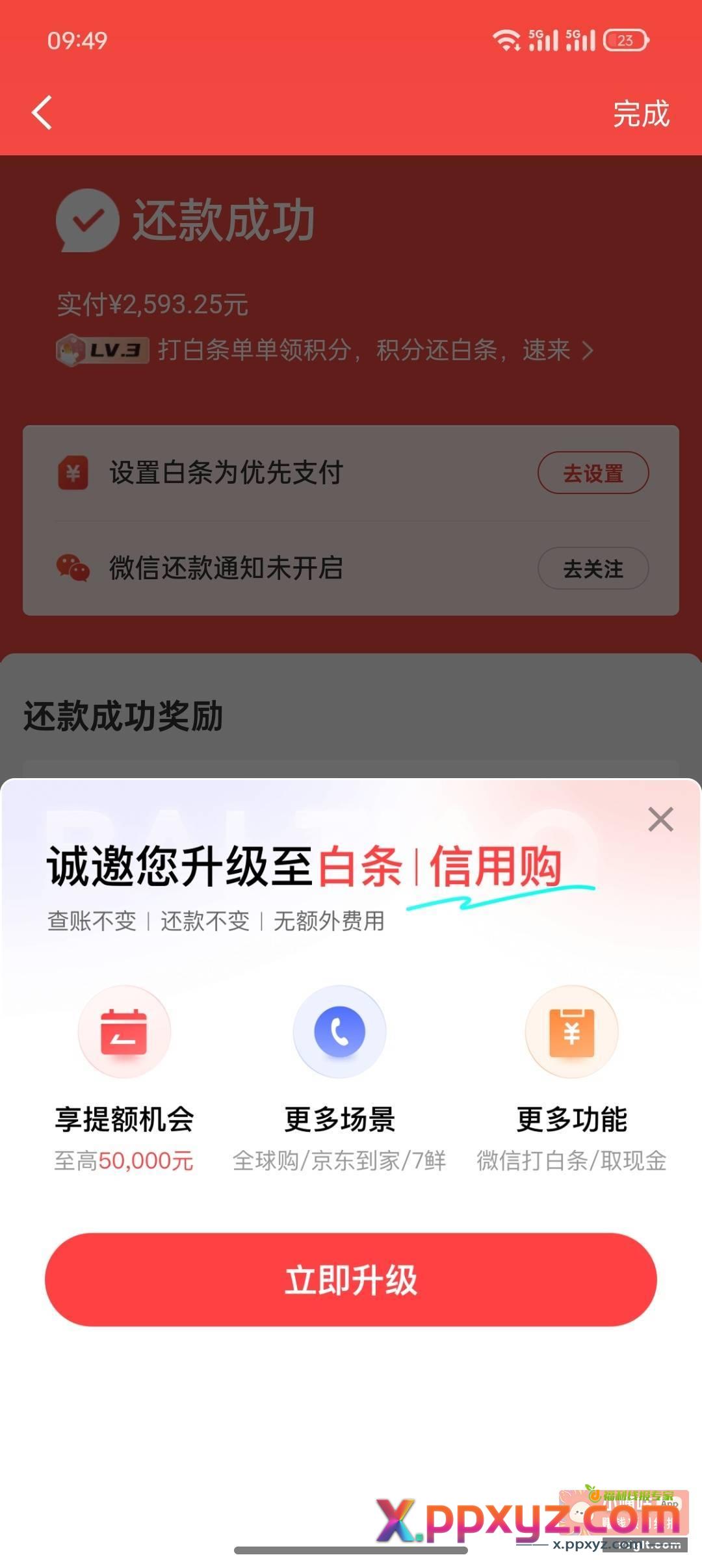 今日收入 —2593.25 - PPXYZ资源网