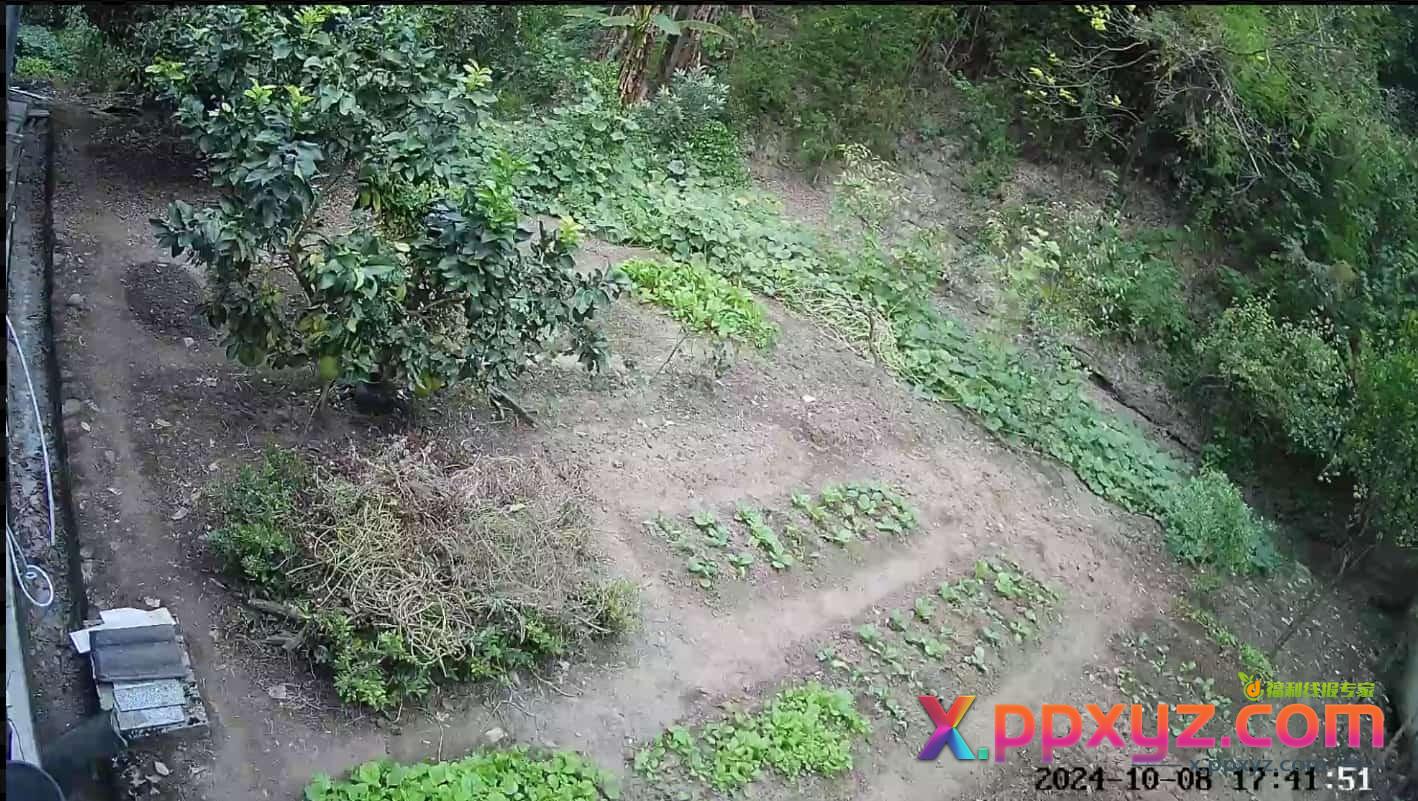 看着日益增长的菜价，才让我感觉到屋后小块土地的价值 - PPXYZ线报