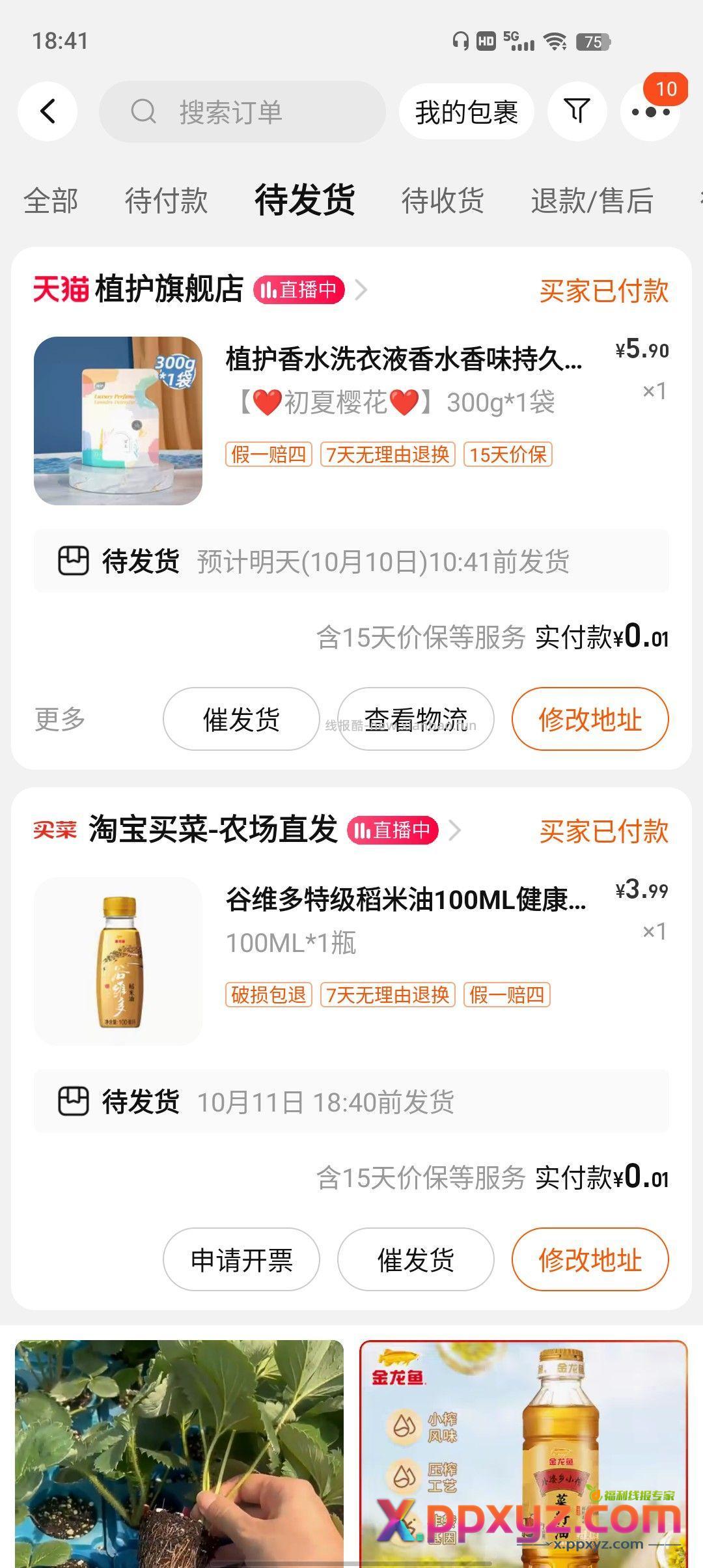淘宝分五亿 小毛 - PPXYZ资源网
