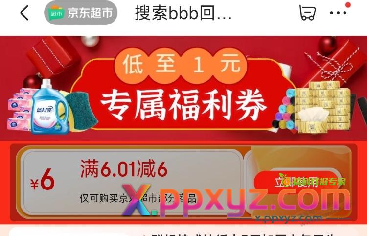 狗东券 满6-6 - PPXYZ线报