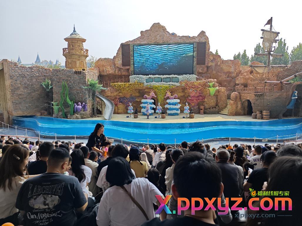 今天去了银基动物王国 - PPXYZ线报