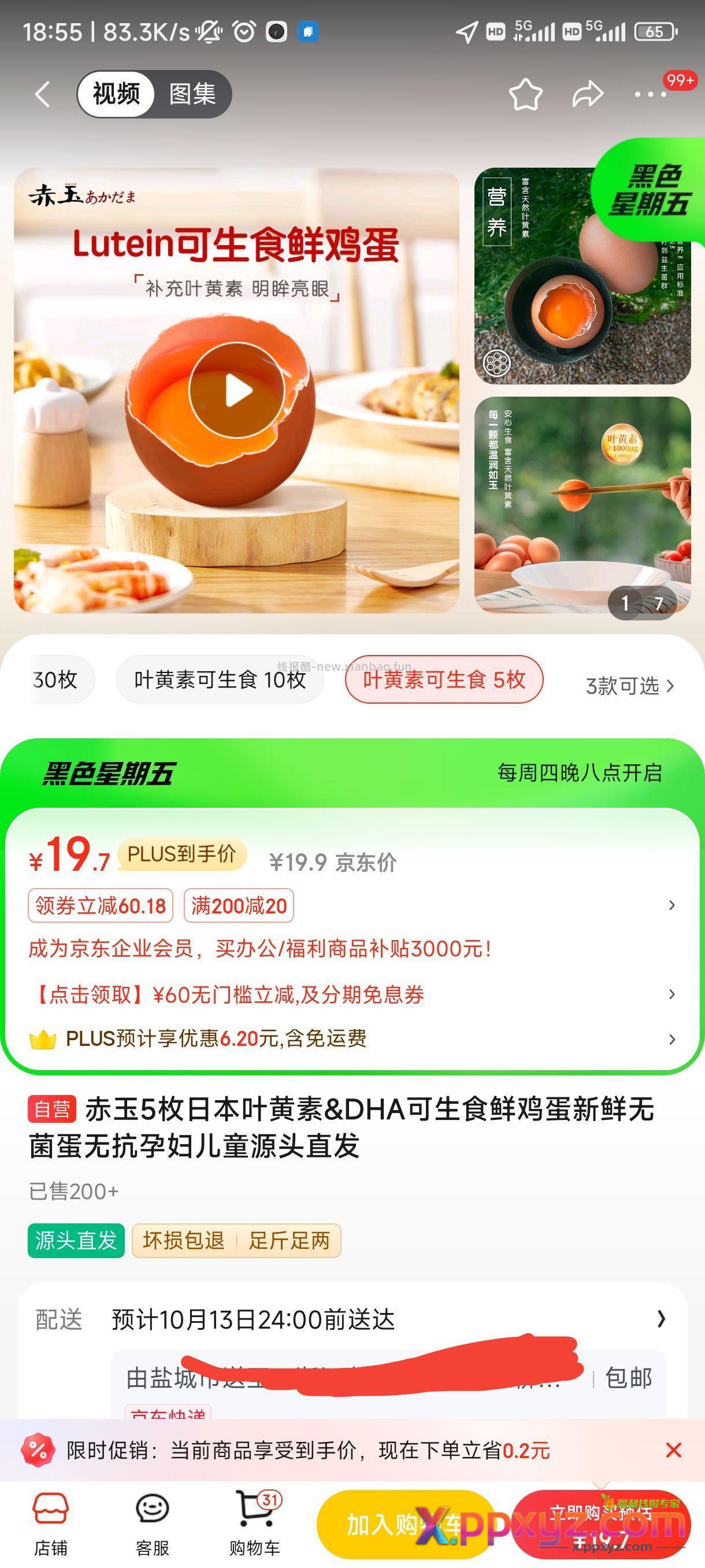 19点1元5个鸡蛋 - PPXYZ资源网