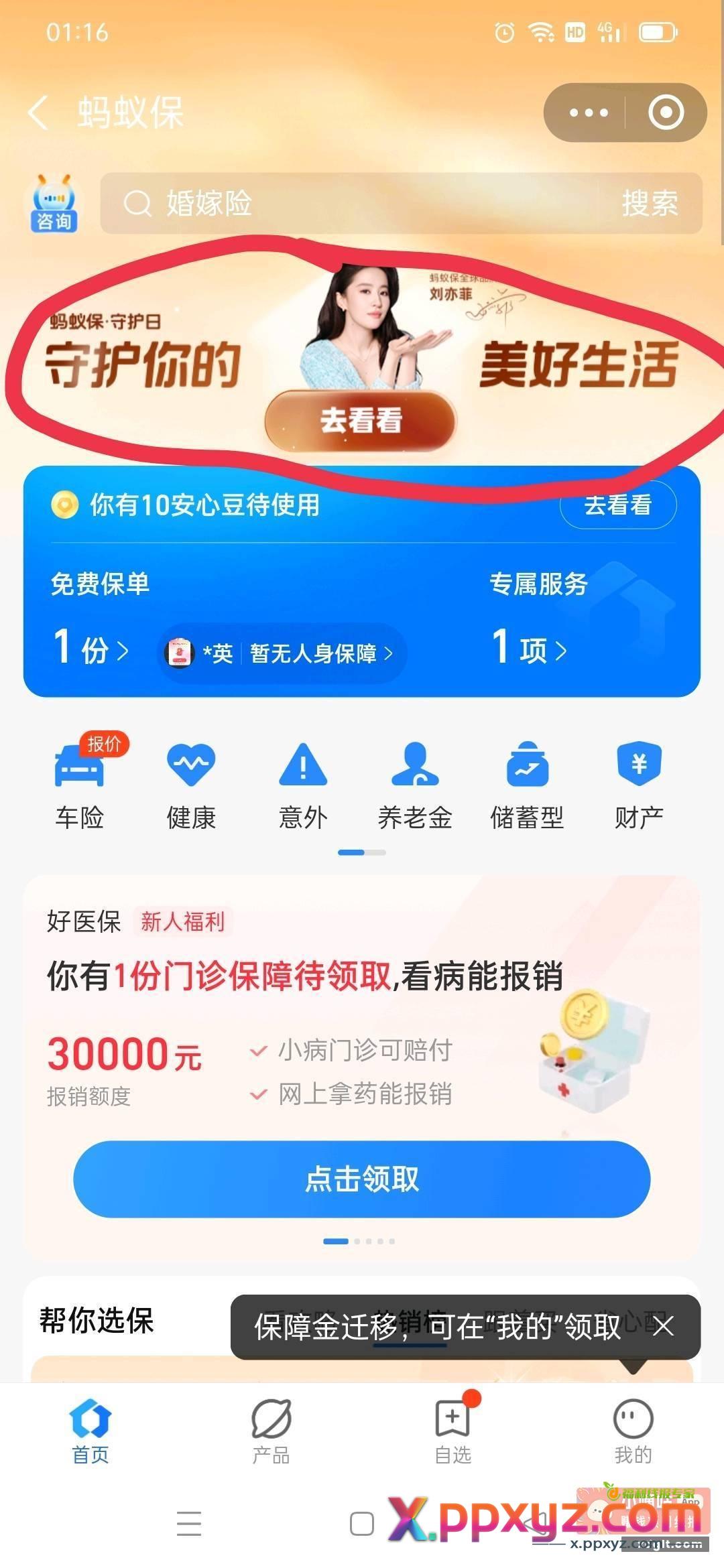 zfb横幅 刘亦菲蚂蚁保 - PPXYZ资源网