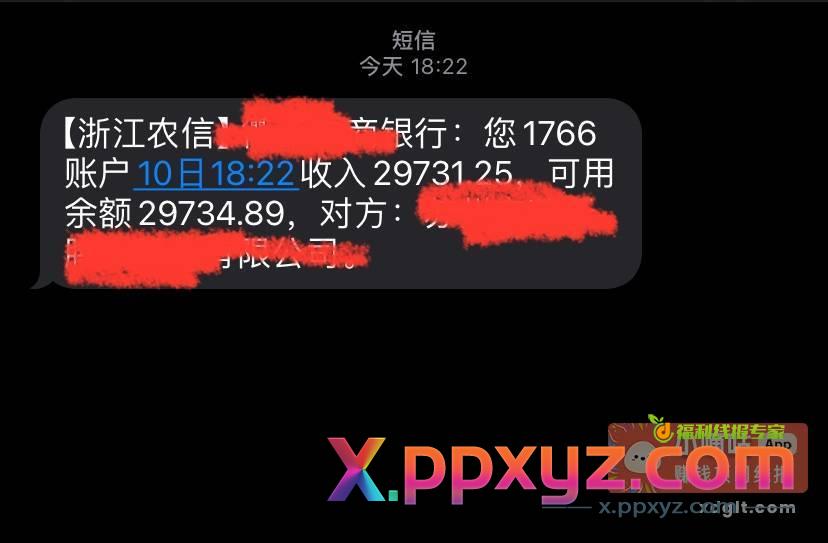 工资是最不能看的 看多了会让我失去撸毛的动力 - PPXYZ资源网