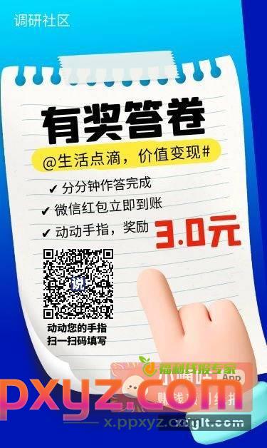 游戏问卷3元作答+0.5元截图 - PPXYZ资源网