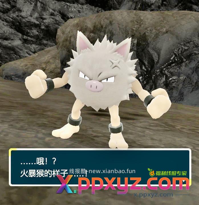 今天又是火爆猴 - PPXYZ资源网