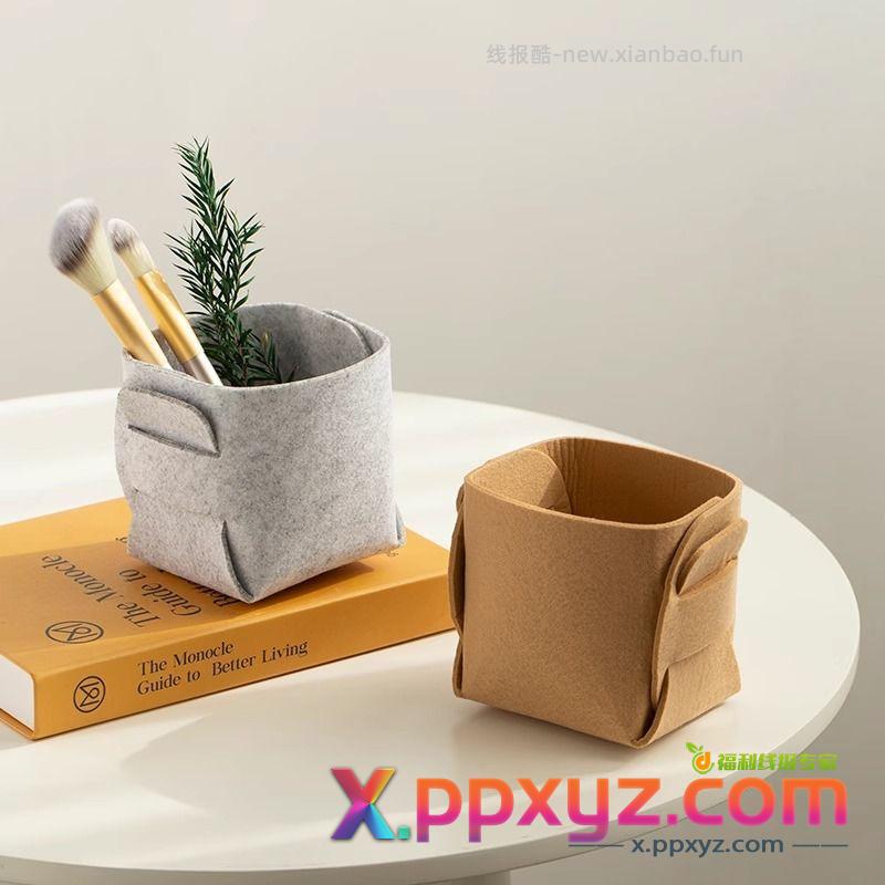 秋毫 2.99包邮拍一发二送毛毡包一个 某6某8:毛毡笔筒 - PPXYZ资源网