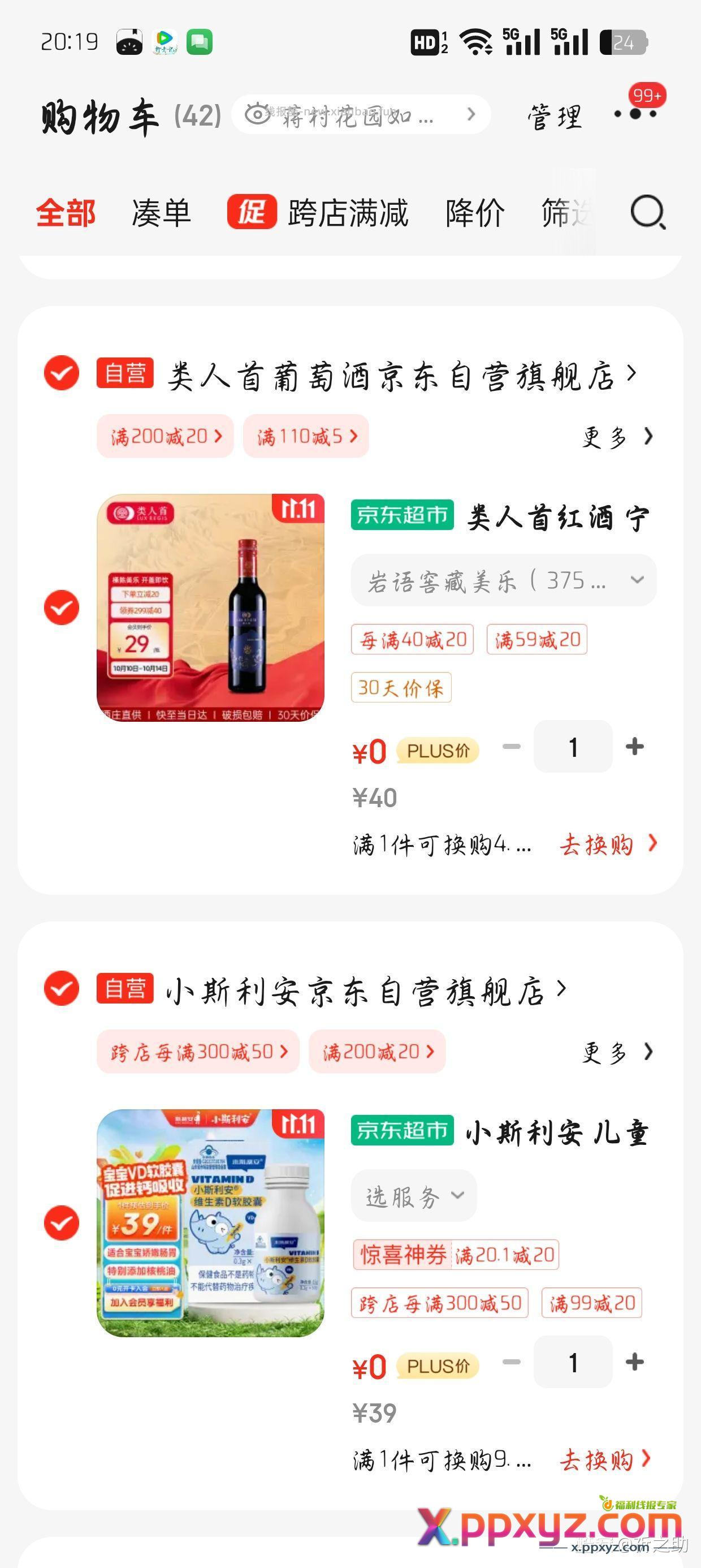 一张券凑两个 - PPXYZ资源网