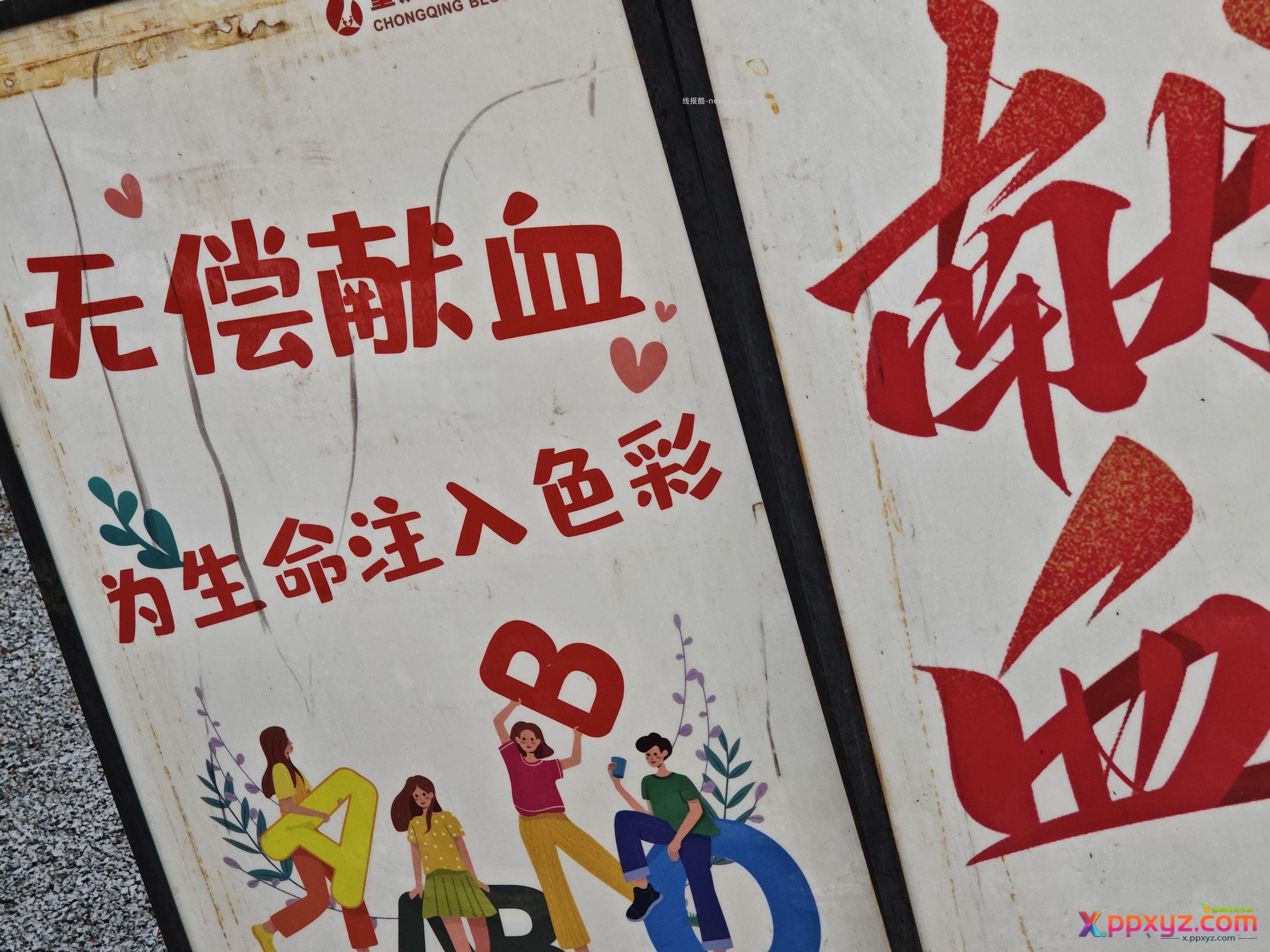 今日大毛 快冲 - PPXYZ资源网