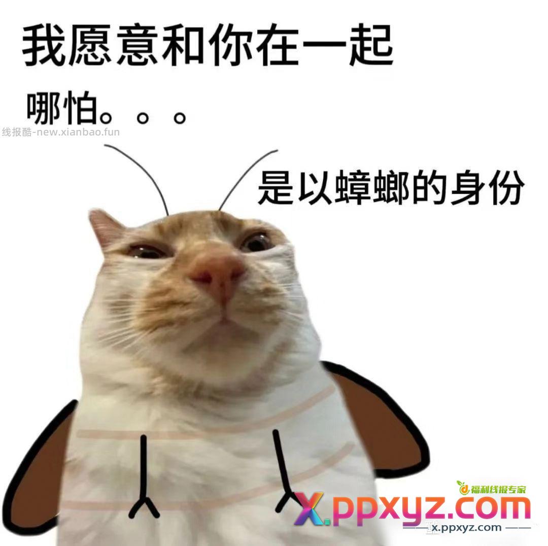 双十一几号开始啊 - PPXYZ资源网