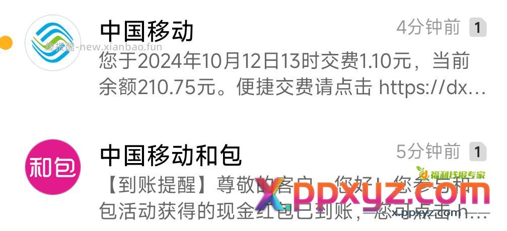 就是移动AP屁 自定义1.1 用和包 会提示返1直接返和包里 - PPXYZ资源网