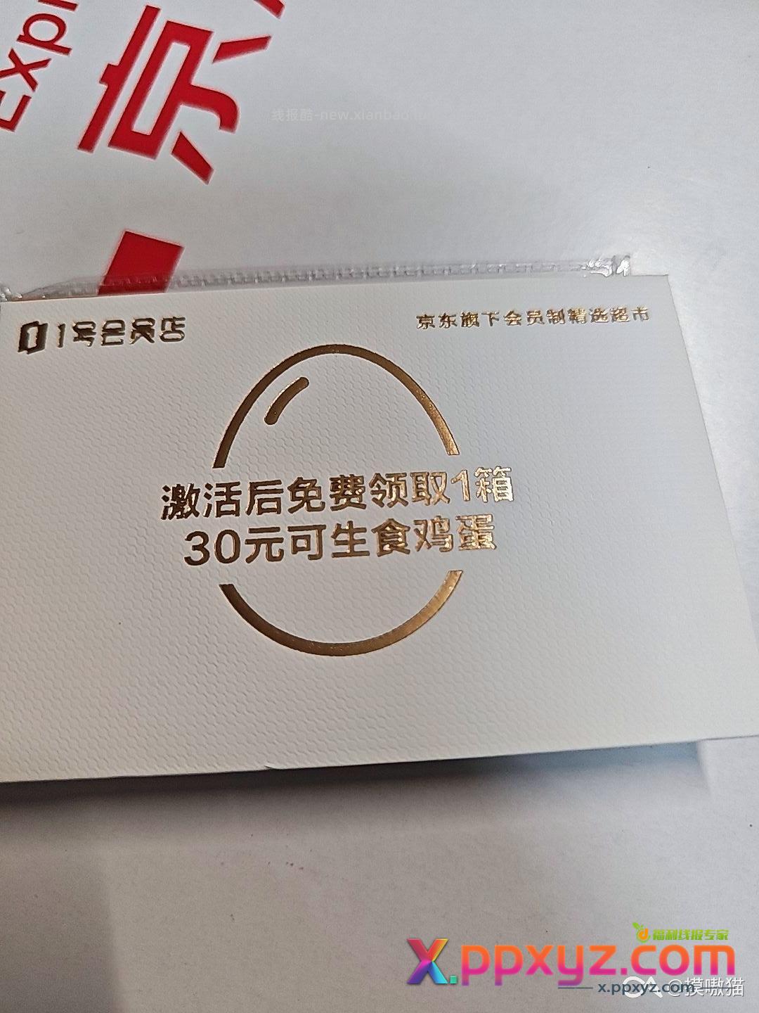 1号店会员dd - PPXYZ资源网