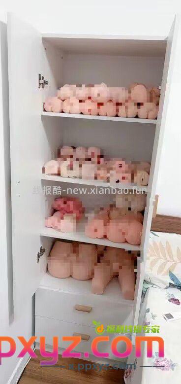 今年双11打算再进点货 - PPXYZ资源网