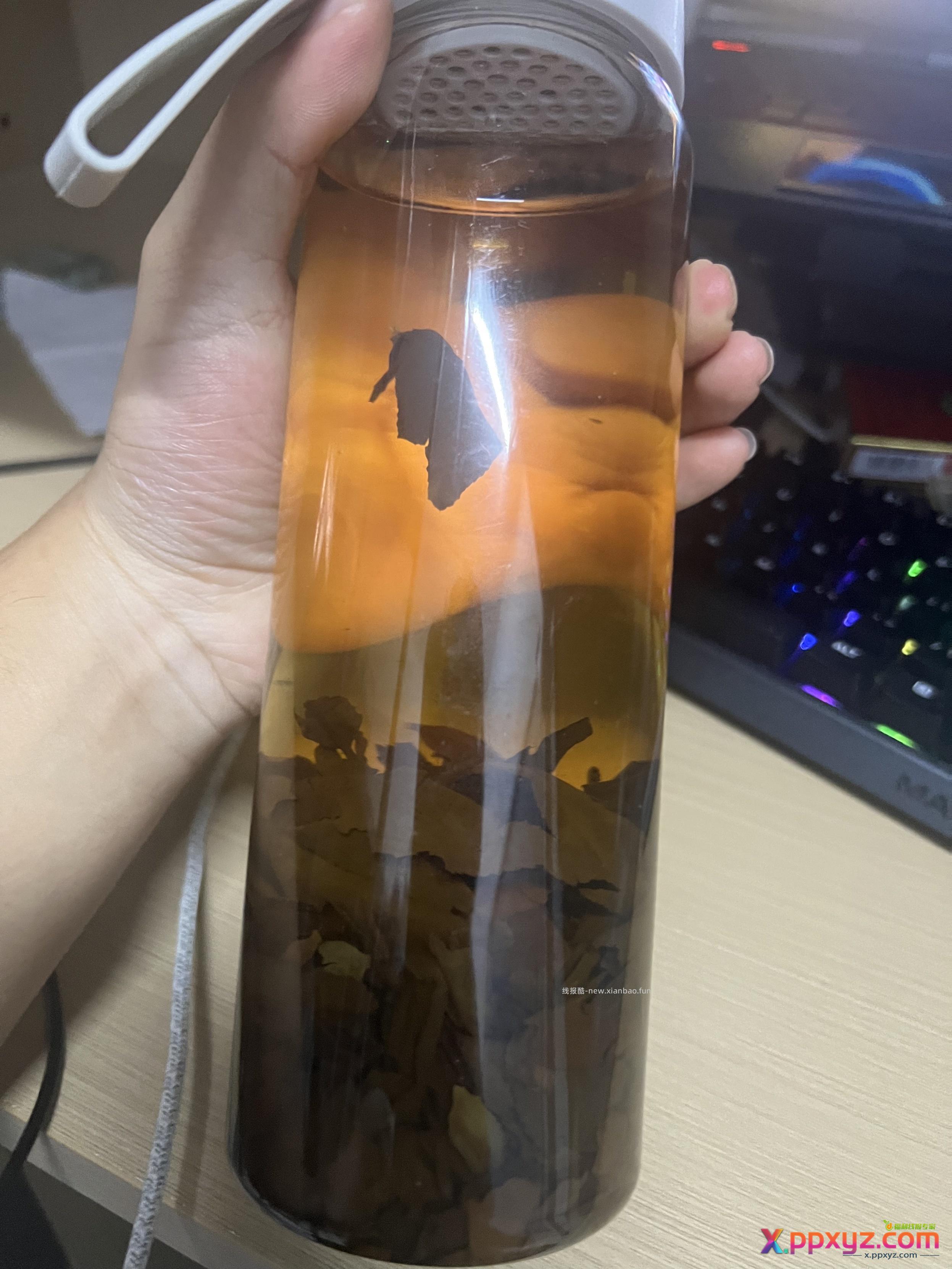 这白茶喝着口感跟红茶有点像 - PPXYZ资源网