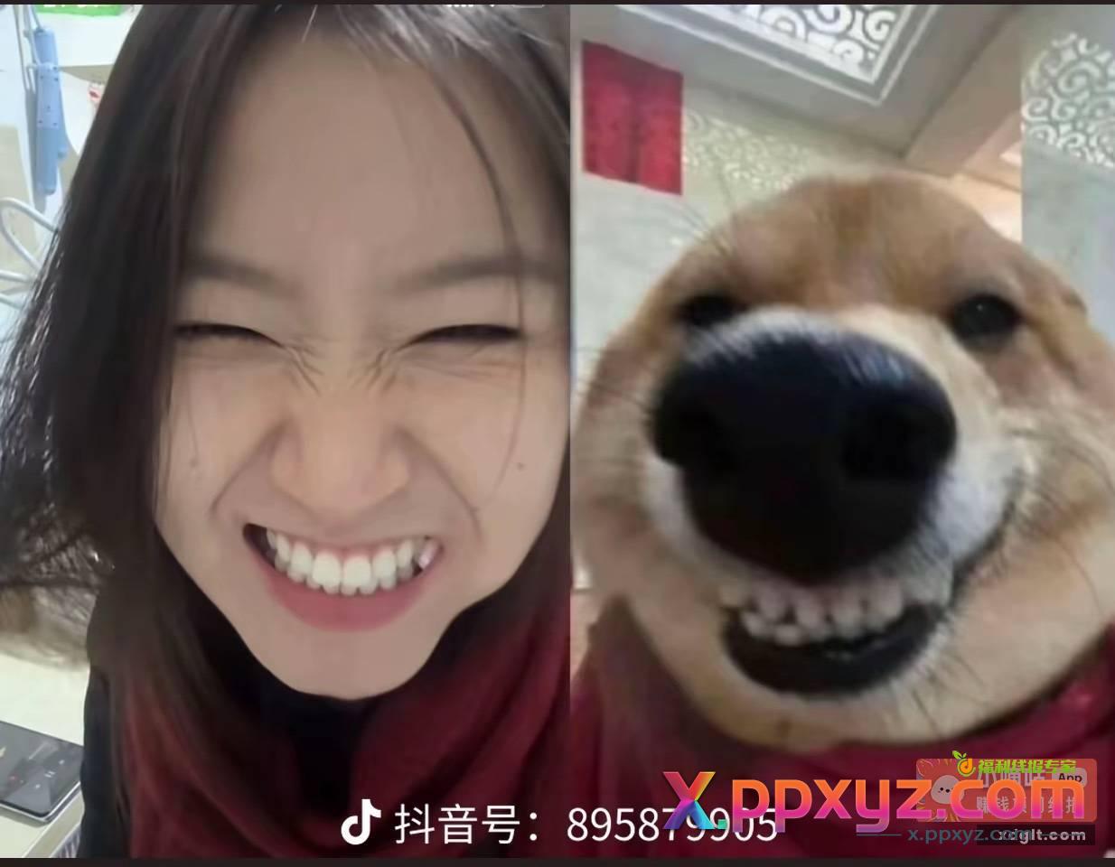 湖北总不中的去测下是否黑号了 - PPXYZ资源网