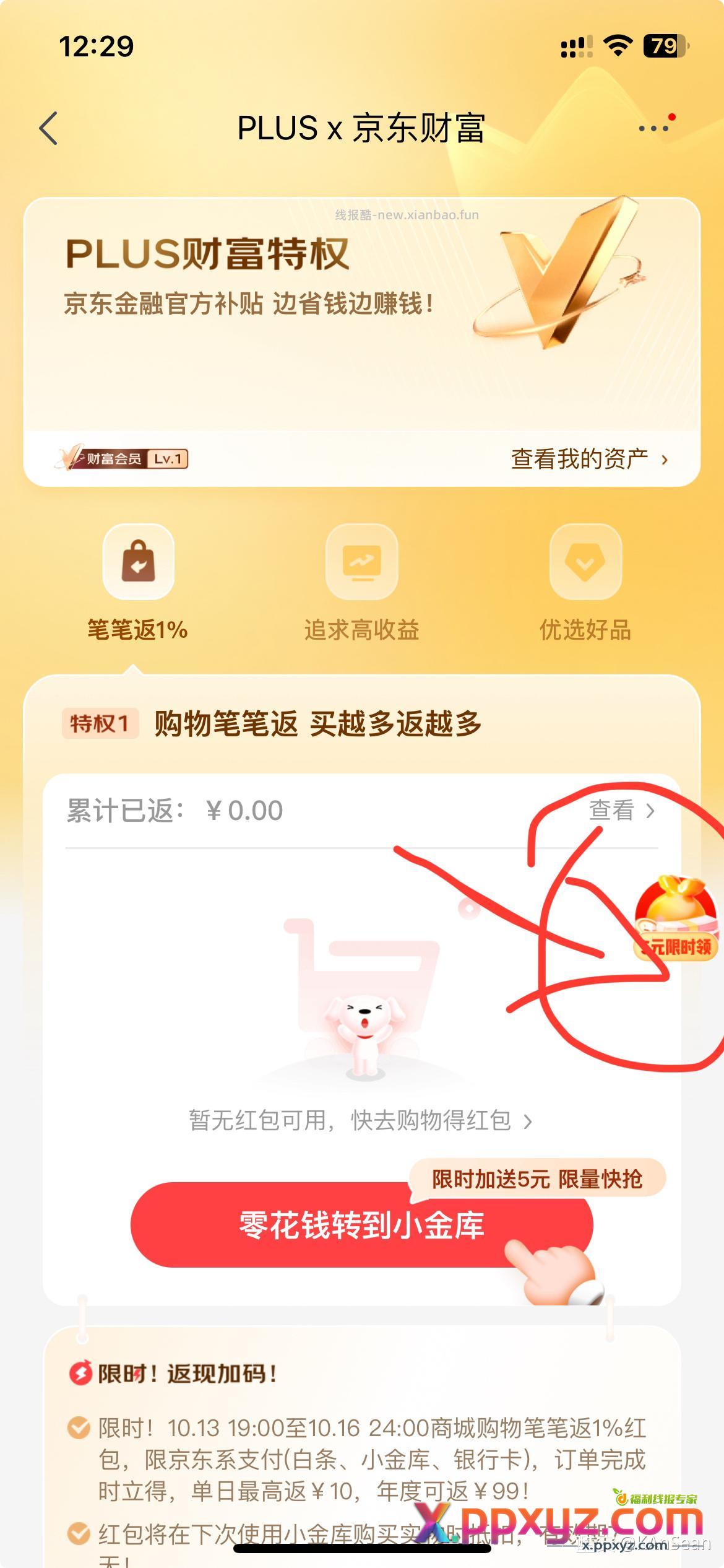 小金库5元支付券 - PPXYZ资源网